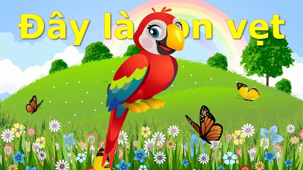 Nên hay không nên cho con học chữ trước khi vào lớp 1?